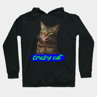 Crazy cat Hoodie